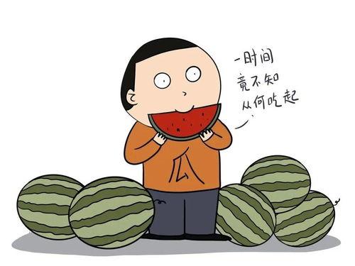 吃瓜不信瓜胡言乱语,胡言乱语的背后真相 第1张 吃瓜不信瓜胡言乱语,胡言乱语的背后真相 第1张